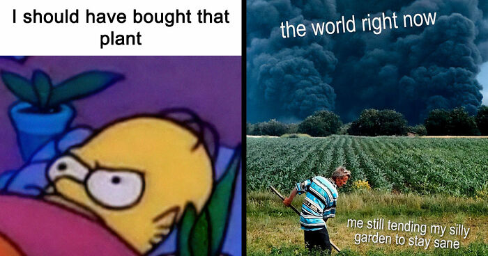 If You’re Fluent In Meme Language And Are A Crazy Plant Parent, You May Like These 59 Posts (New Pics)