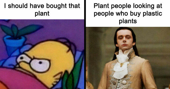 If You’re Fluent In Meme Language And Are A Crazy Plant Parent, You May Like These 59 Posts (New Pics)