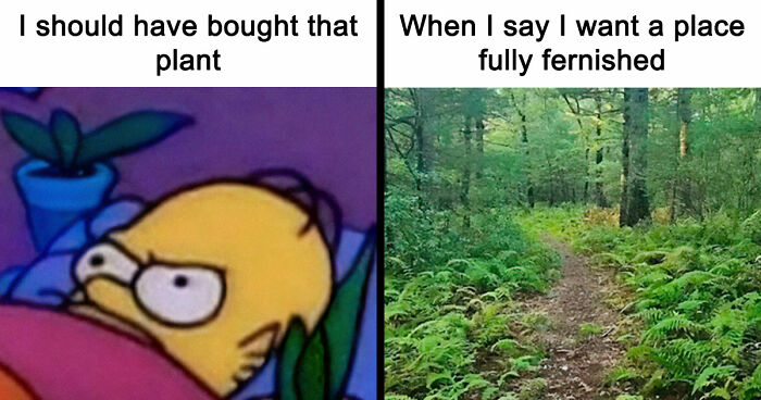 If You’re Fluent In Meme Language And Are A Crazy Plant Parent, You May Like These 59 Posts (New Pics)