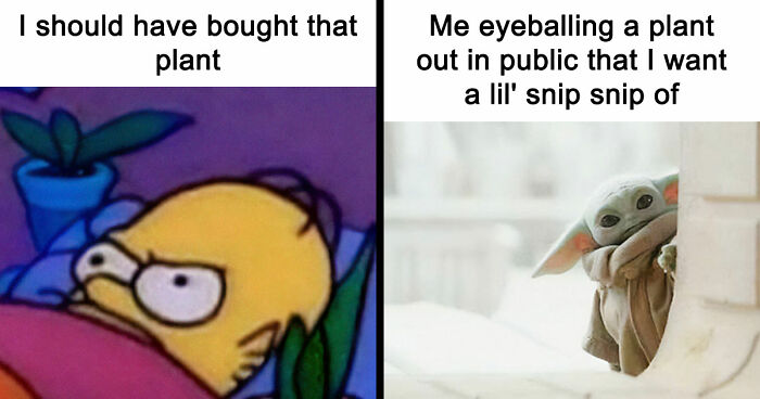 If You’re Fluent In Meme Language And Are A Crazy Plant Parent, You May Like These 59 Posts (New Pics)