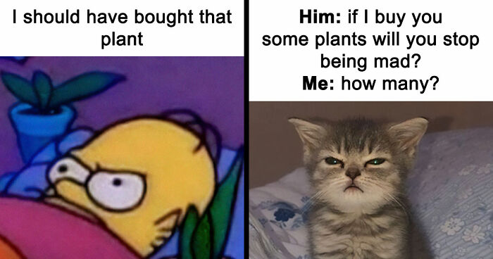 If You’re Fluent In Meme Language And Are A Crazy Plant Parent, You May Like These 59 Posts (New Pics)