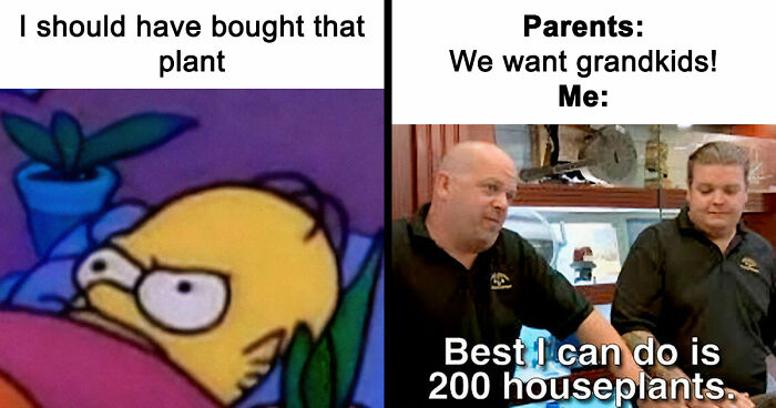 If You’re Fluent In Meme Language And Are A Crazy Plant Parent, You May Like These 59 Posts (New Pics)