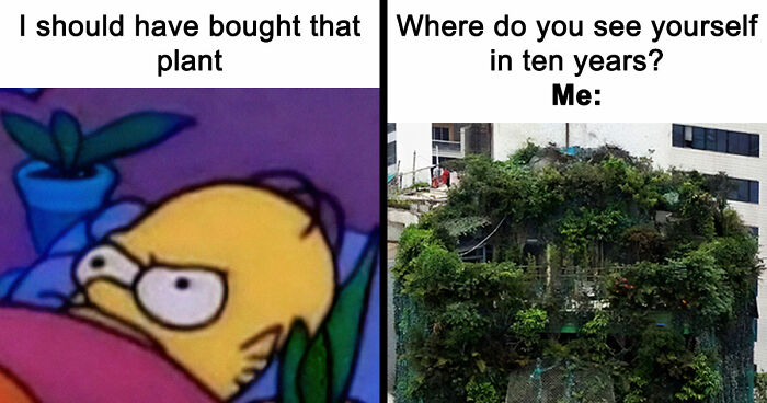 If You’re Fluent In Meme Language And Are A Crazy Plant Parent, You May Like These 59 Posts (New Pics)