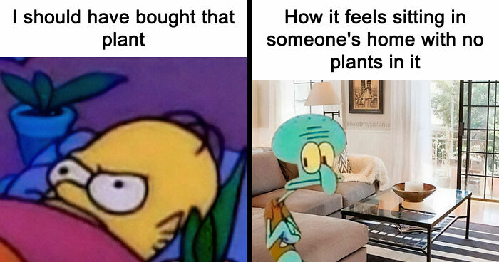 If You’re Fluent In Meme Language And Are A Crazy Plant Parent, You May Like These 59 Posts (New Pics)