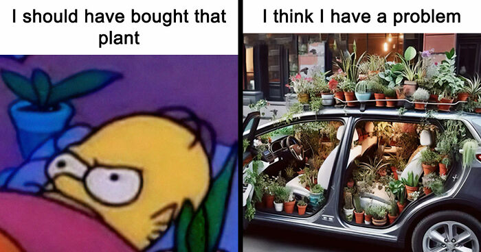 If You’re Fluent In Meme Language And Are A Crazy Plant Parent, You May Like These 59 Posts (New Pics)