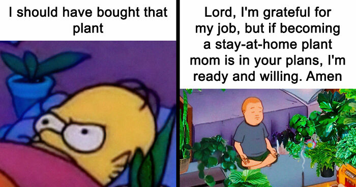 If You’re Fluent In Meme Language And Are A Crazy Plant Parent, You May Like These 59 Posts (New Pics)