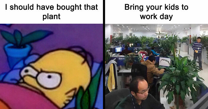 If You’re Fluent In Meme Language And Are A Crazy Plant Parent, You May Like These 59 Posts (New Pics)
