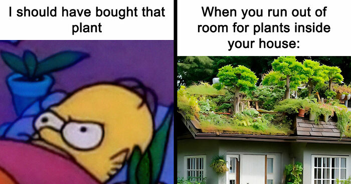 If You’re Fluent In Meme Language And Are A Crazy Plant Parent, You May Like These 59 Posts (New Pics)