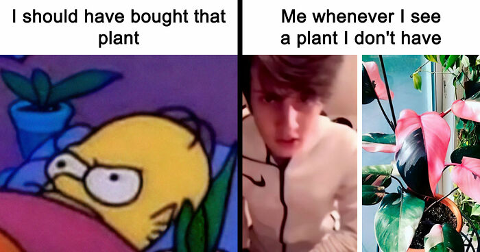 If You’re Fluent In Meme Language And Are A Crazy Plant Parent, You May Like These 59 Posts (New Pics)