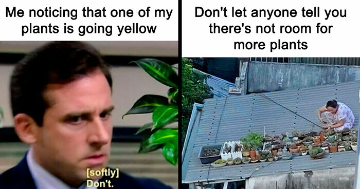 If You’re Fluent In Meme Language And Are A Crazy Plant Parent, You May Like These 59 Posts (New Pics)
