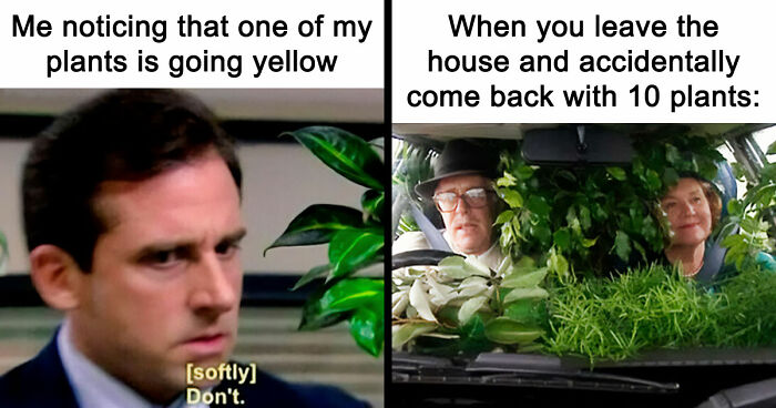 If You’re Fluent In Meme Language And Are A Crazy Plant Parent, You May Like These 59 Posts (New Pics)