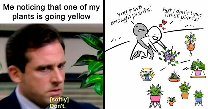 If You’re Fluent In Meme Language And Are A Crazy Plant Parent, You May Like These 59 Posts (New Pics)