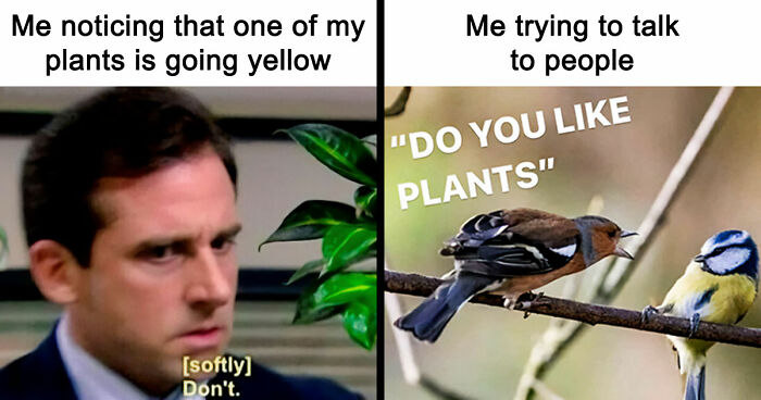 If You’re Fluent In Meme Language And Are A Crazy Plant Parent, You May Like These 59 Posts (New Pics)