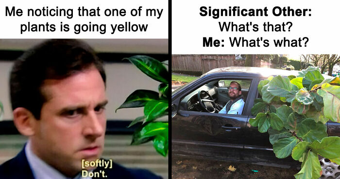 If You’re Fluent In Meme Language And Are A Crazy Plant Parent, You May Like These 59 Posts (New Pics)