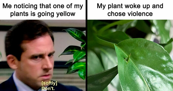 If You’re Fluent In Meme Language And Are A Crazy Plant Parent, You May Like These 59 Posts (New Pics)