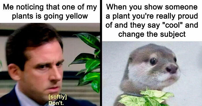 If You’re Fluent In Meme Language And Are A Crazy Plant Parent, You May Like These 59 Posts (New Pics)