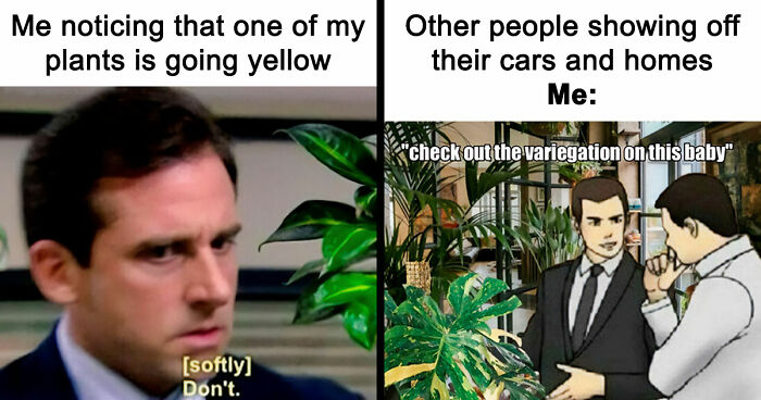 If You’re Fluent In Meme Language And Are A Crazy Plant Parent, You May Like These 59 Posts (New Pics)