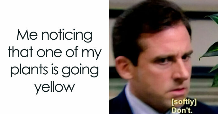 If You’re Fluent In Meme Language And Are A Crazy Plant Parent, You May Like These 59 Posts (New Pics)