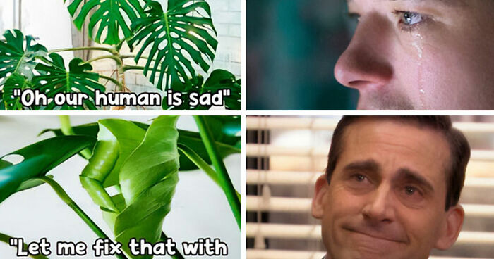 If You’re Fluent In Meme Language And Are A Crazy Plant Parent, You May Like These 59 Posts (New Pics)