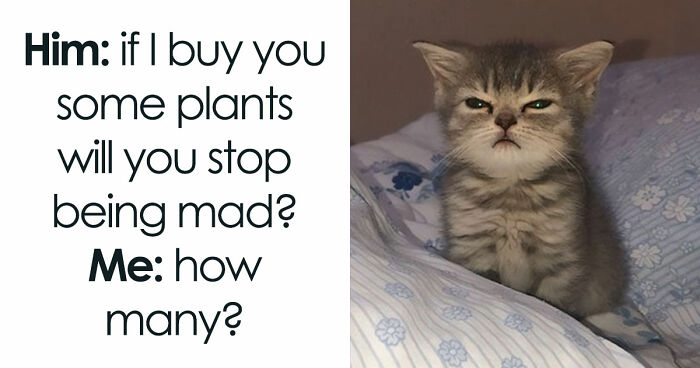 If You’re Fluent In Meme Language And Are A Crazy Plant Parent, You May Like These 59 Posts (New Pics)