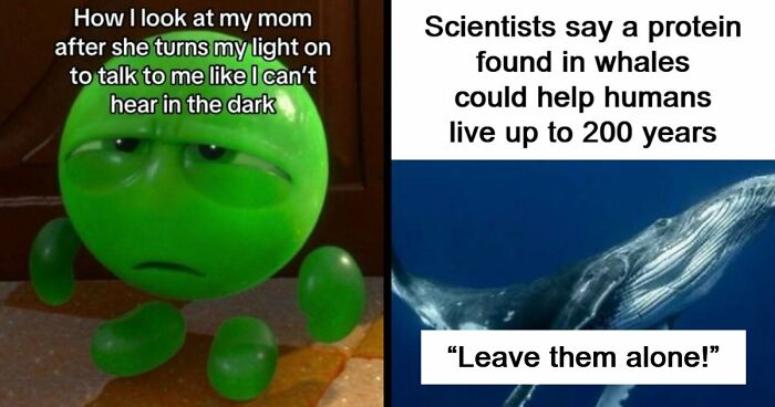 109 Funny And Interesting Posts That Might Make Your Day A Little Better