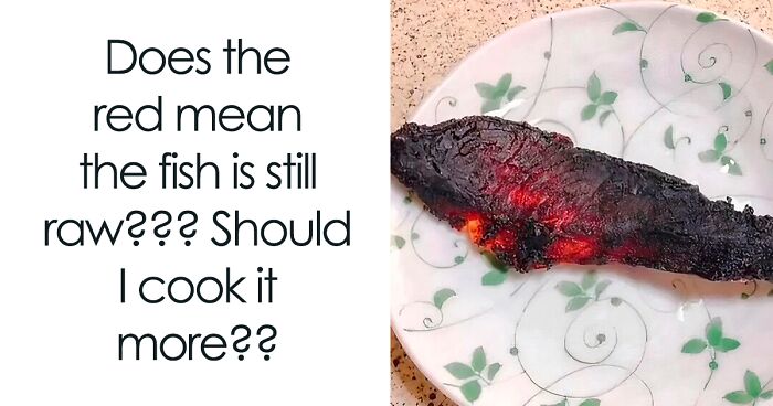 These 37 Memes Are One Of The Reasons Why People Pay For The Internet