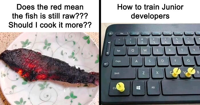 These 37 Memes Are One Of The Reasons Why People Pay For The Internet