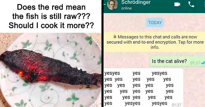 These 37 Memes Are One Of The Reasons Why People Pay For The Internet