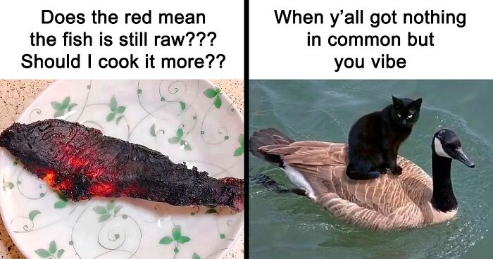 These 37 Memes Are One Of The Reasons Why People Pay For The Internet