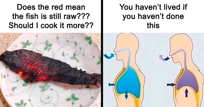 These 37 Memes Are One Of The Reasons Why People Pay For The Internet