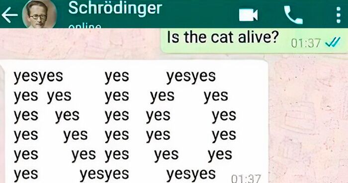 These 37 Memes Are One Of The Reasons Why People Pay For The Internet