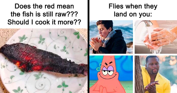 These 37 Memes Are One Of The Reasons Why People Pay For The Internet