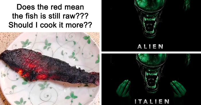These 37 Memes Are One Of The Reasons Why People Pay For The Internet
