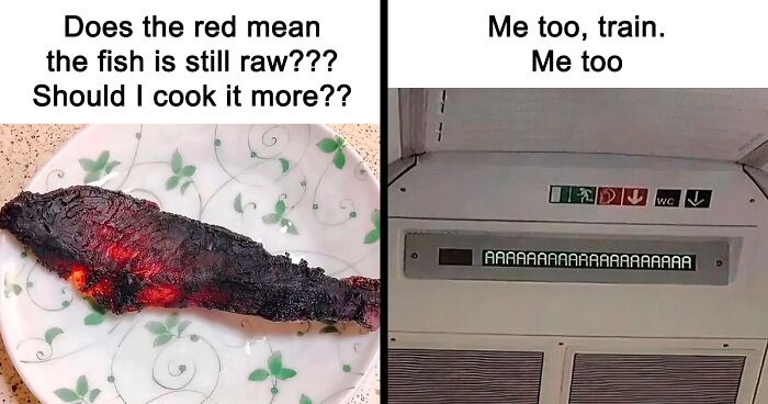 These 37 Memes Are One Of The Reasons Why People Pay For The Internet