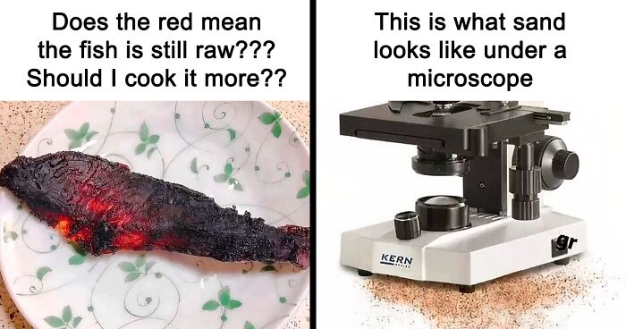 These 37 Memes Are One Of The Reasons Why People Pay For The Internet