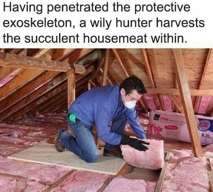 Man wearing mask and gloves installs pink insulation in attic, a lighthearted meme for those who like safe-for-work content.