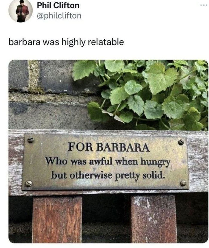 Bronze plaque on wooden bench humorously honoring Barbara for being awful when hungry but otherwise solid in funny safe-for-work memes.