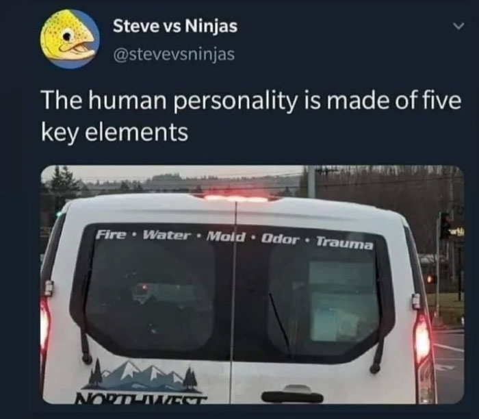 Funny safe-for-work meme showing a van listing fire, water, mold, odor, and trauma as key elements of human personality.