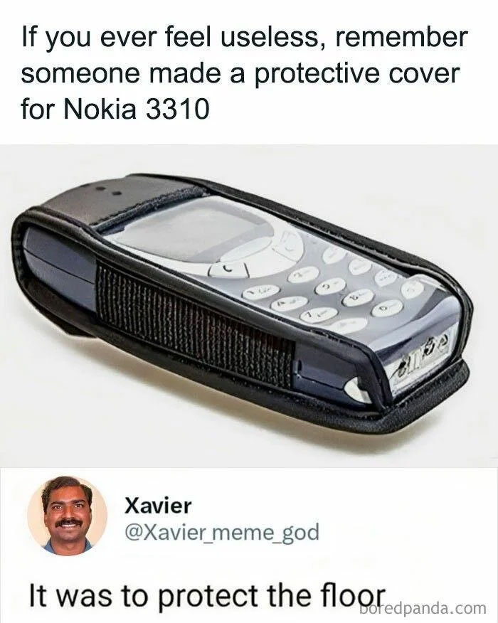Meme showing a Nokia 3310 phone in a protective cover with a lighthearted safe-for-work joke.