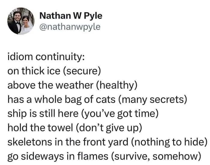 Funny and lighthearted safe-for-work meme text about idiom continuity with humorous alternative phrases.