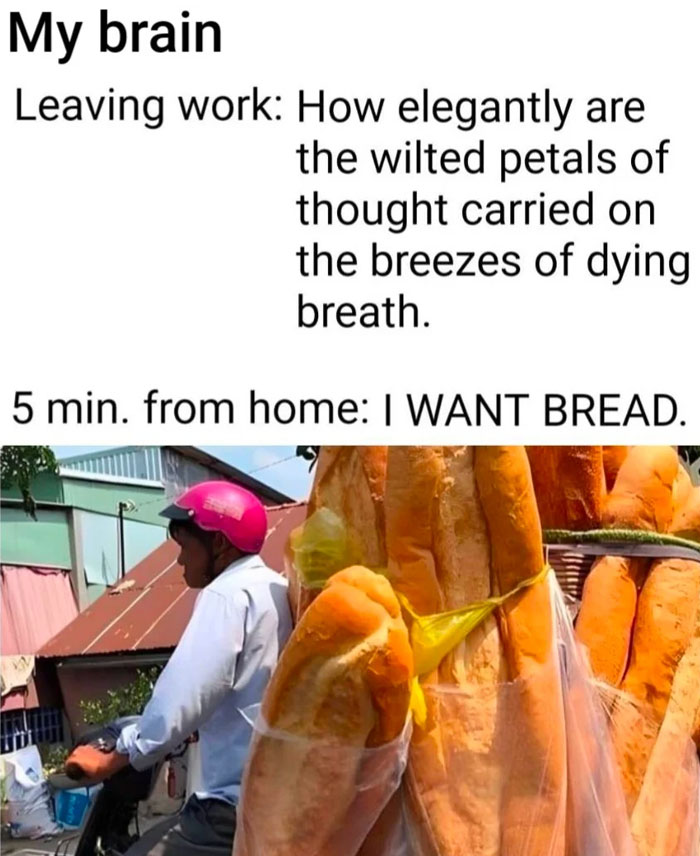 Man wearing pink helmet on a motorbike loaded with bread, illustrating funny and lighthearted safe-for-work memes.