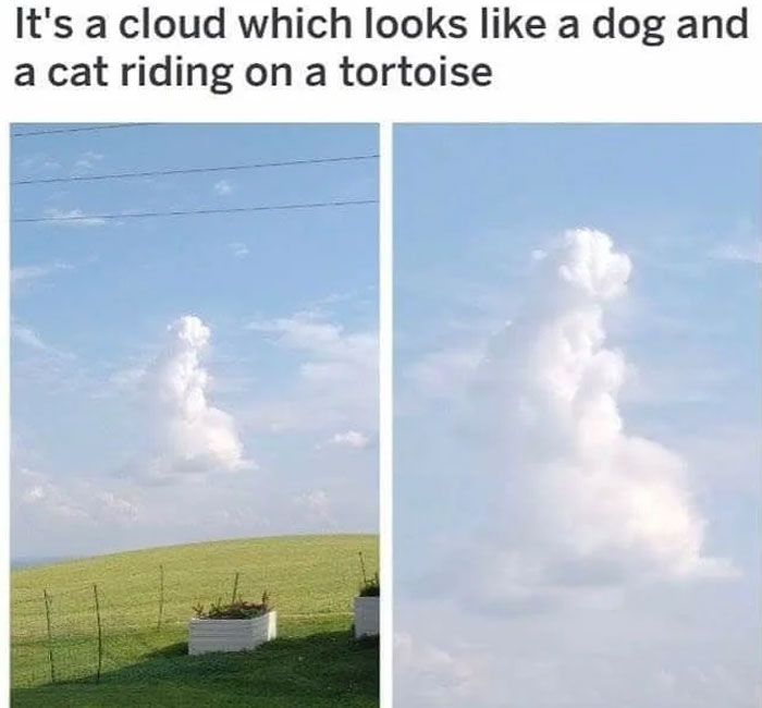 Cloud shaped like a dog and cat riding a tortoise, a funny and lighthearted safe-for-work meme outdoors on a clear day.