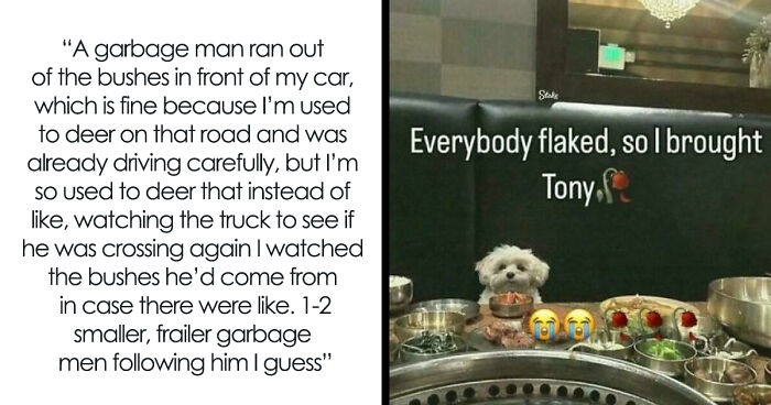 87 Funny And Lighthearted Memes For Those Who Like Safe-For-Work Stuff