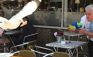 87 Memes So Hilarious And Simple They Might Make Your Day Way Better