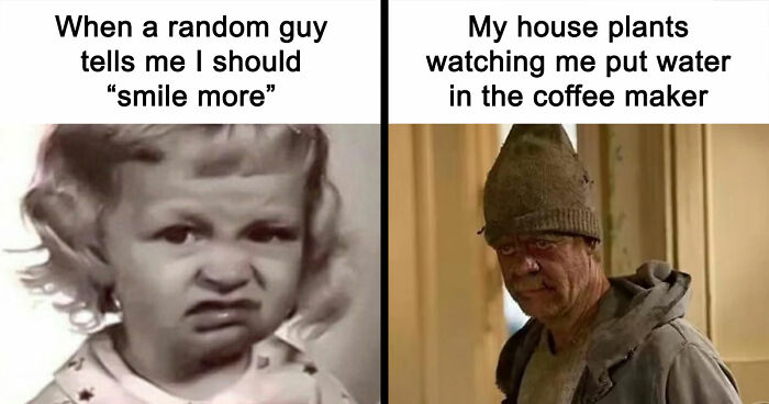 79 Funny And Relatable Memes To Distract You From Everything You Should Be Doing