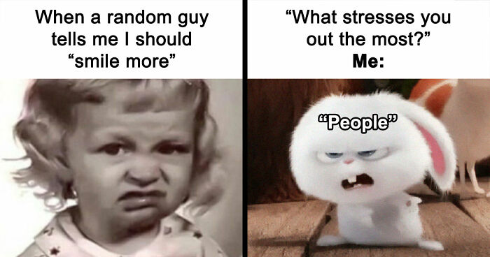 79 Funny And Relatable Memes To Distract You From Everything You Should Be Doing