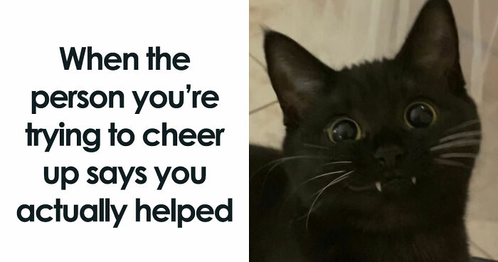 79 Funny And Relatable Memes To Distract You From Everything You Should Be Doing