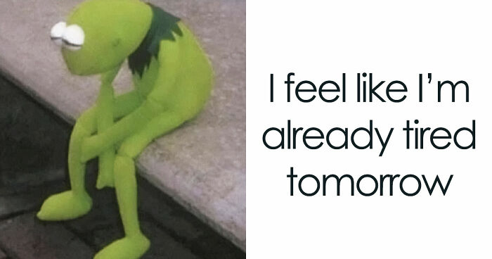 79 Funny And Relatable Memes To Distract You From Everything You Should Be Doing
