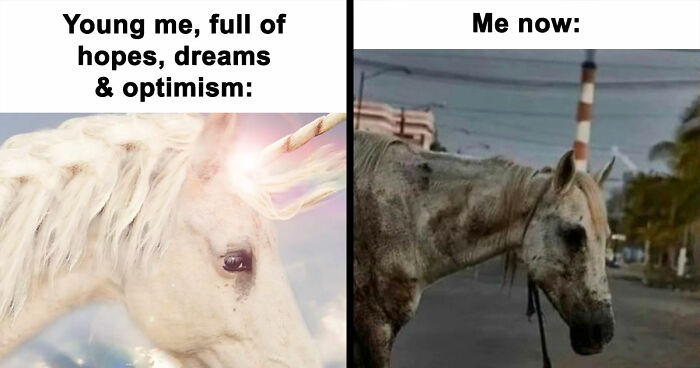 79 Funny And Relatable Memes To Distract You From Everything You Should Be Doing