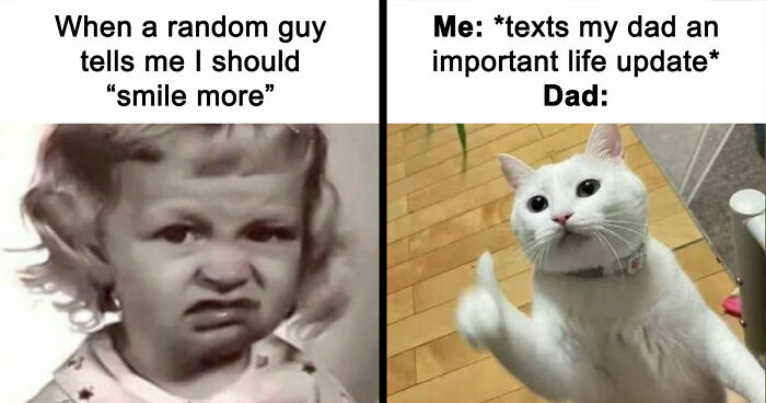 79 Funny And Relatable Memes To Distract You From Everything You Should Be Doing